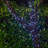 Messancy 22'L Solar String Light With 50 LEDs