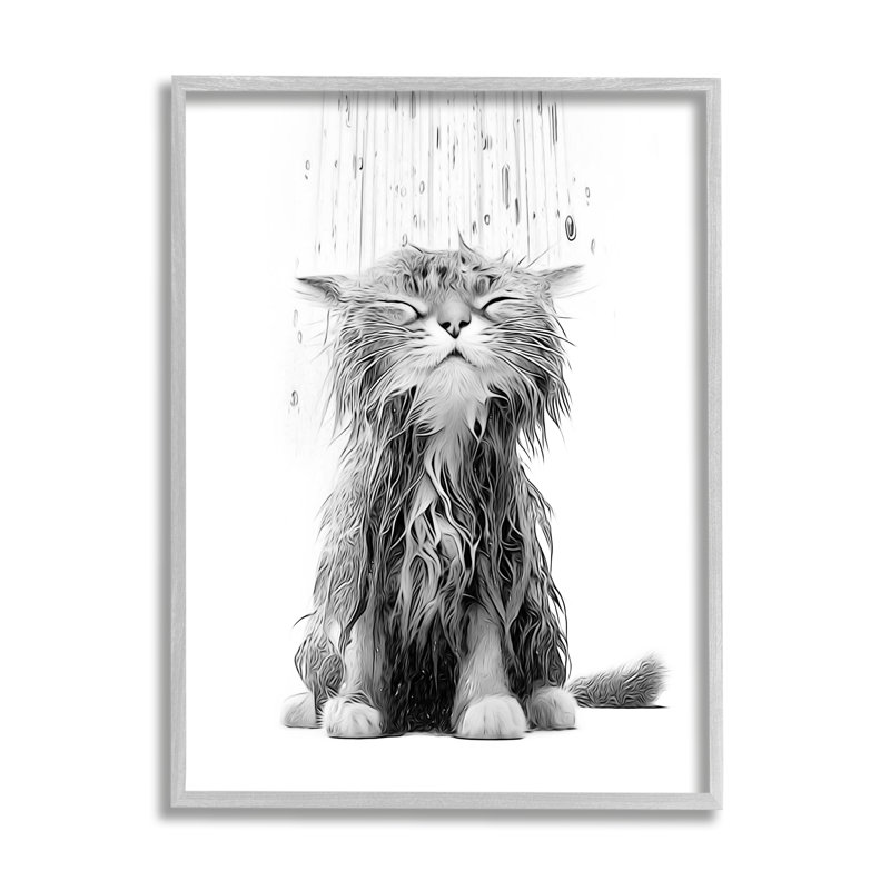 Chaton de salle de bain Splash sur bois par Annalisa Latella, Estampe numérique Farmhouse, H 14 po x l 11 po x P 1,5 po