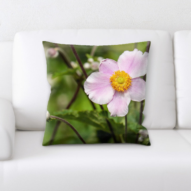 Coussin anemone