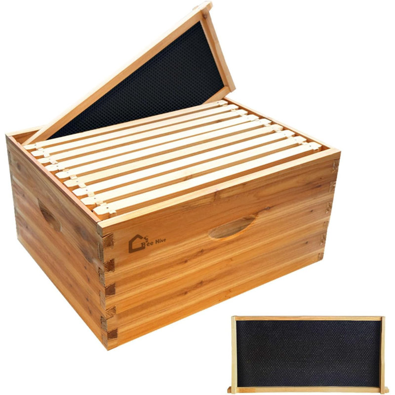 1PC 10 Frame Deep Brood Bee Hive Box, Langstoth Beehive Deep Box, Bee Box Dipped in 100% Beeswax Includes Wooden Beehive Frames & Waxed Foundations