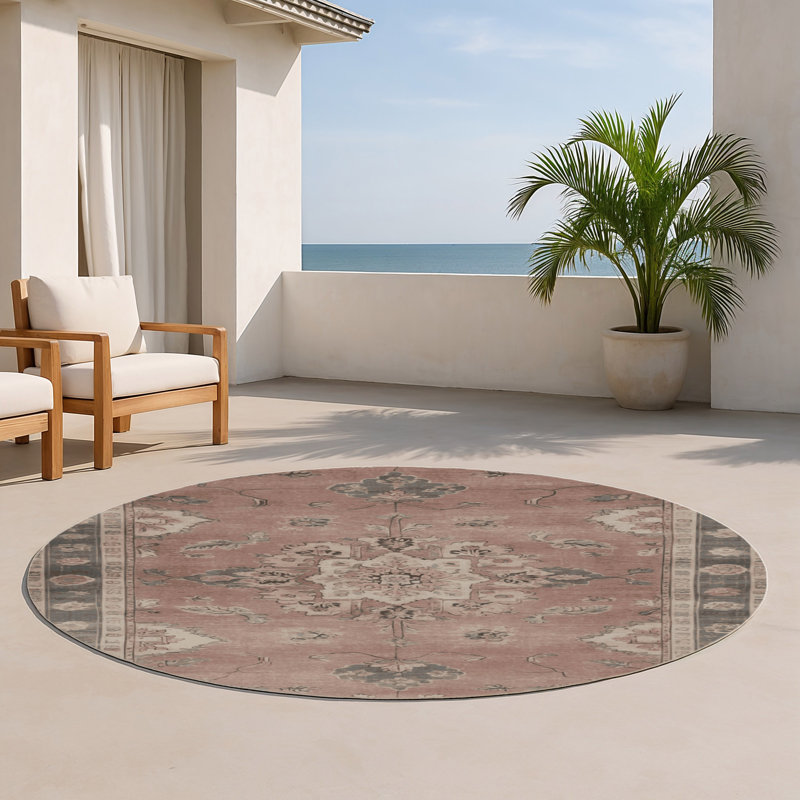 Tapis gris intérieur et extérieur surteint, Rond 5 pi
