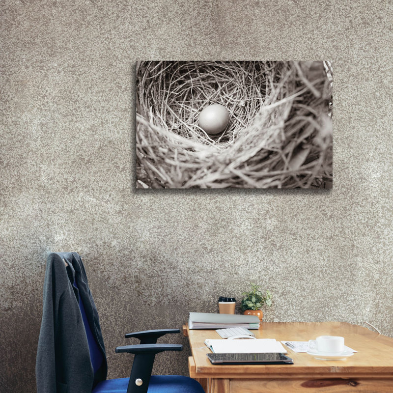 Epic Graffiti 'Nesting' by Nathan Larson Canvas Wall Art, 26" H x 40" W x 1.5" D