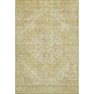 Premium Machine Washable Wayne AMF1104 Global Rug