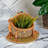 Advita Indoor/Outdoor Clay Statue Planter