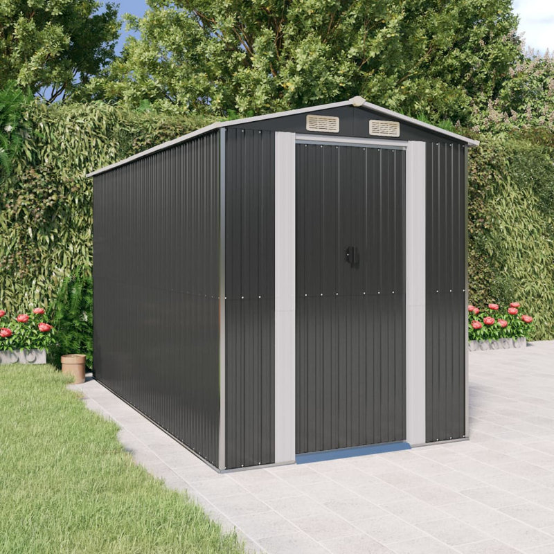 Remise de rangement traditionnelle en acier, L 6,3 pi x P 11,72 pi