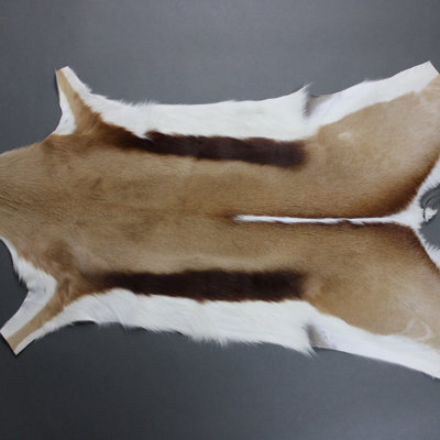 Gaudet 70cm X 100cm Area Rug