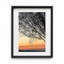 Sunset Tree Print by Joseph Regan-66910860-66910863