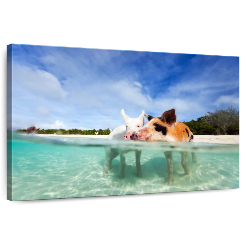 Brampt Pigs Bahamas Life, 26" H x 39" W