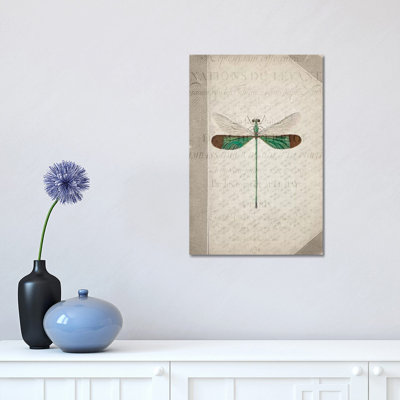 Dragonfly Book II by Kimberly Allen - Print on Canvas