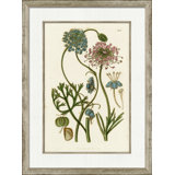 Medium Antique Blush Floral IV Painting