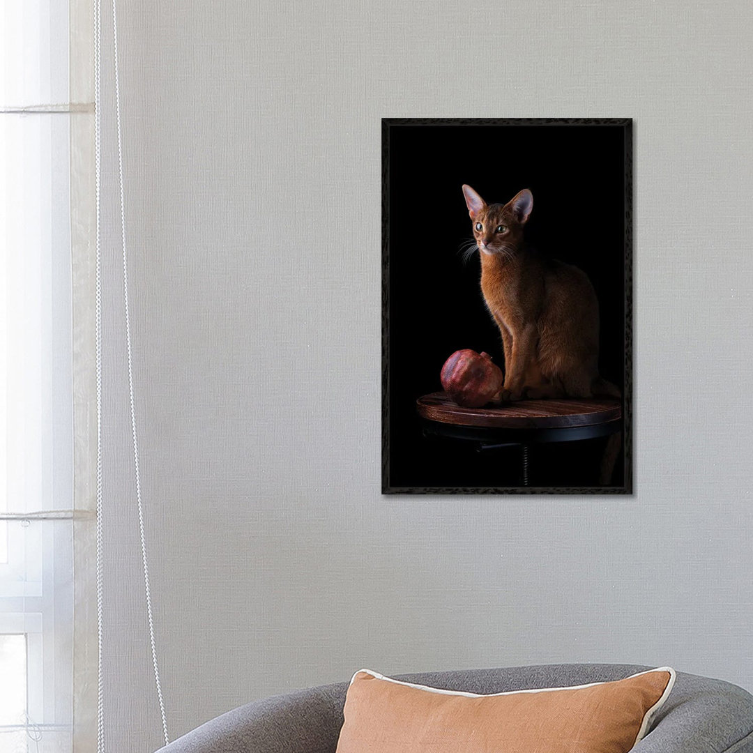 Abessinierkatze und Granatapfel von Nailia Schwarz - Galerie-umwickelte Leinwand Giclée auf Leinwand