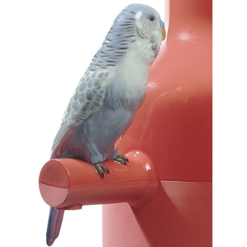 Coral Porcelain Vase with Decorative Parrots