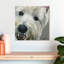 Brampt West Highland Terrier-109216755