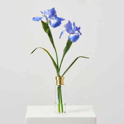 Lifelike Blue Iris Bloom Stems in Tall Gold Rim Bottle Vase Spring Floral Water Illusion Arrangement