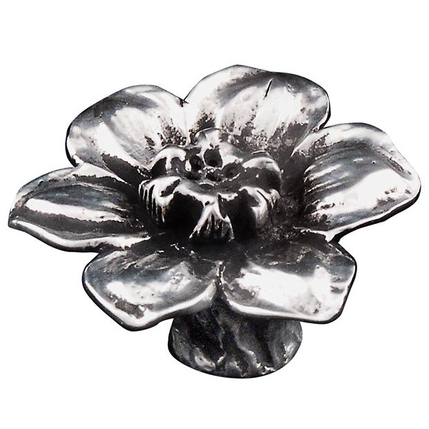 Carlotta Novelty Knob, Antique Silver