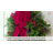 Adapt Adjustable Length Wreath Hanger-62101302