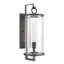 Hopkins 20.25'' High 1-Light Outdoor Sconce - Charcoal Black-237314538