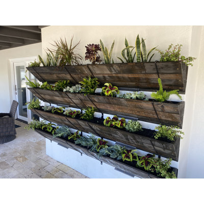 Vertical Garden