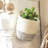 Rosecliff Heights AMARI Decorative Basket-2096811919