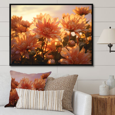 «Chrysanthemums Sunrise Field In Morning - Chrysanthemums», reproduction sur toile