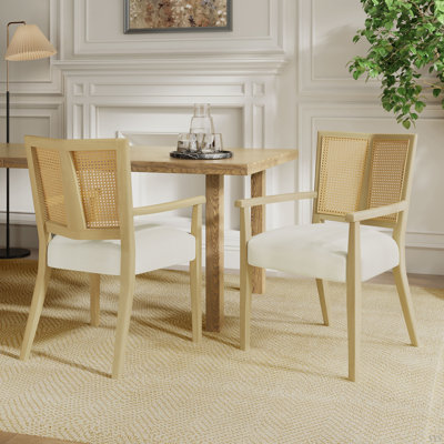Ensemble de 2 chaises avec accoudoirs