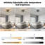 Floral 5-Light 60cm LED Ceiling Light with Remote
