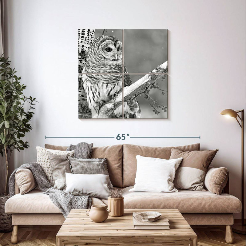 White Owl BW