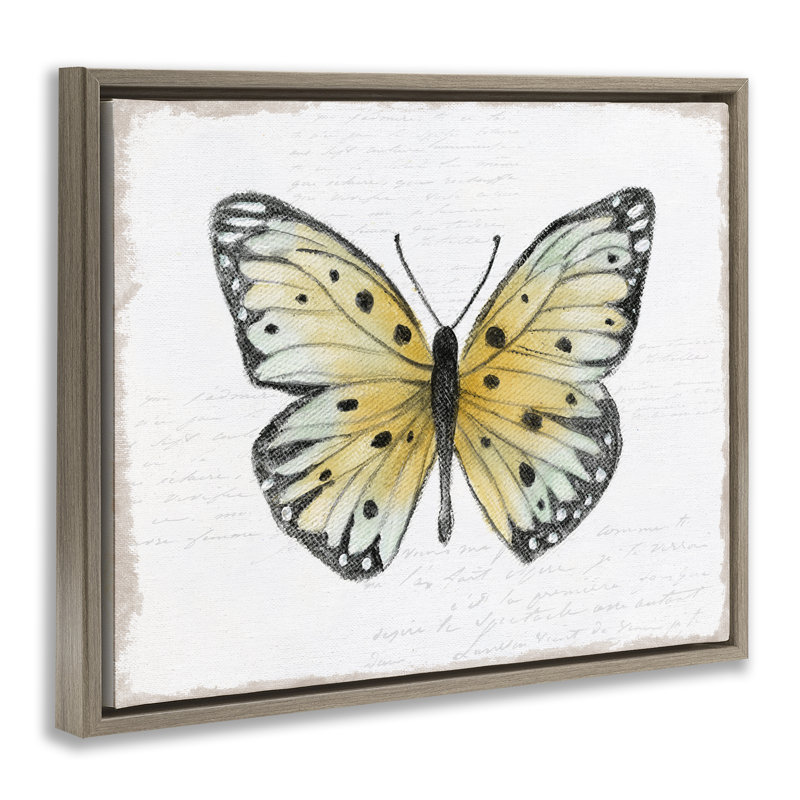 «Beautiful Butterfly on White Brown Floater», art mural sur toile par Janet Tava, Cadre flottant orme Montalcino