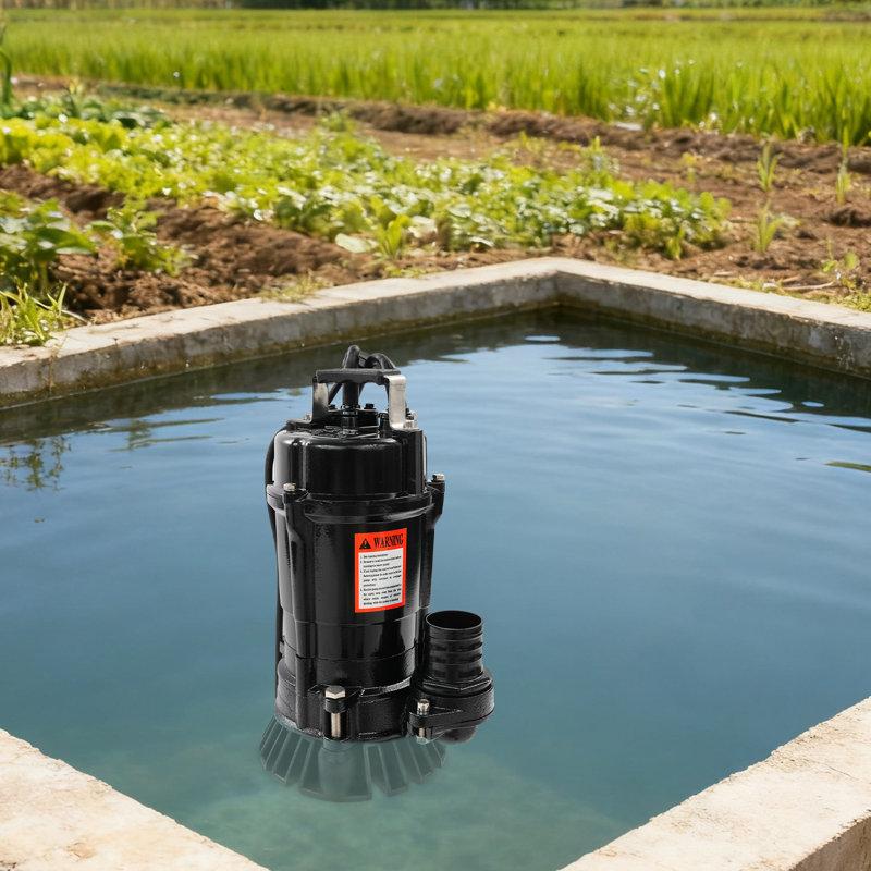 Pompe submersible 750W pour eau sale, Noir mat, 750 Watts
