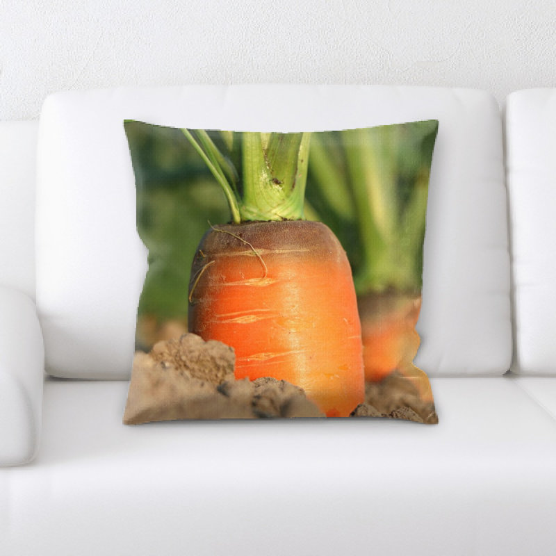 Coussin de carotte