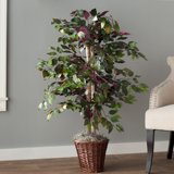 4' Artificial Capensia Bush, Rattan Basket