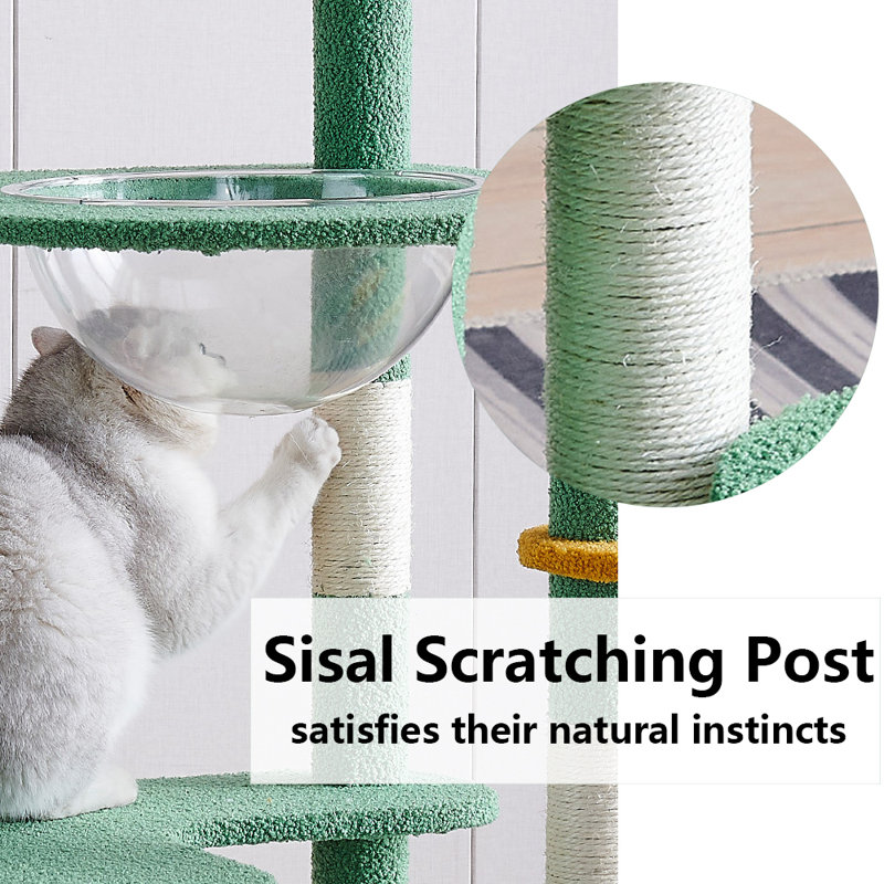 Eildine 53.5'' H Cat Tree