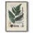 Collected Ferns IV Framed Print - Solid Wood-1938008538