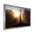 Silver Single Picture Framed