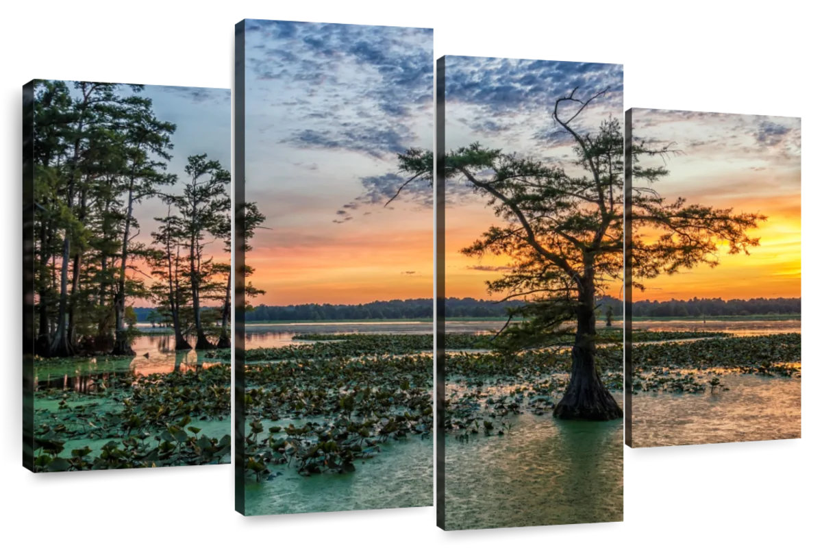 Millwood Pines Alvord Reelfoot Lake Sunset | Wayfair