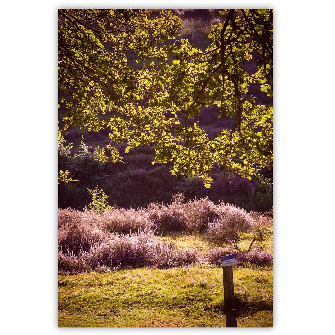 Leinwandbild Green Landscapes