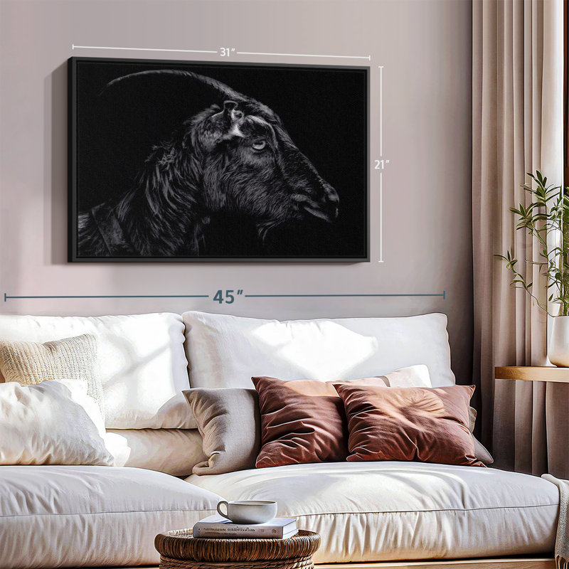 «Animal», impression sur toile «Chèvre cornue», H 21 po x l 31 po