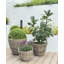 Pot à fleurs Ayriauna-756765343