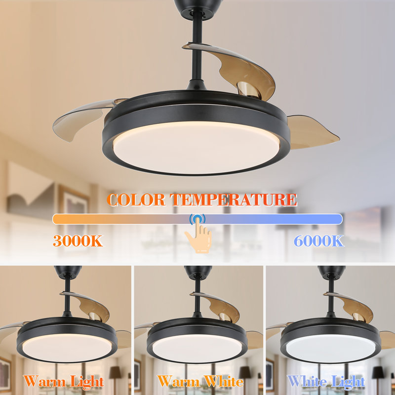 Ventilateur de plafond 42 po à 3 pales rétractables à DEL 42 po avec télécommande et ensemble d'éclairage Dinae, Noir