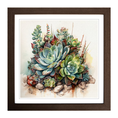 Succulent Watercolour No.1 - Framed Print