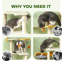 Tour pour chat d'intérieur 63 pouces à thème multi-niveaux
