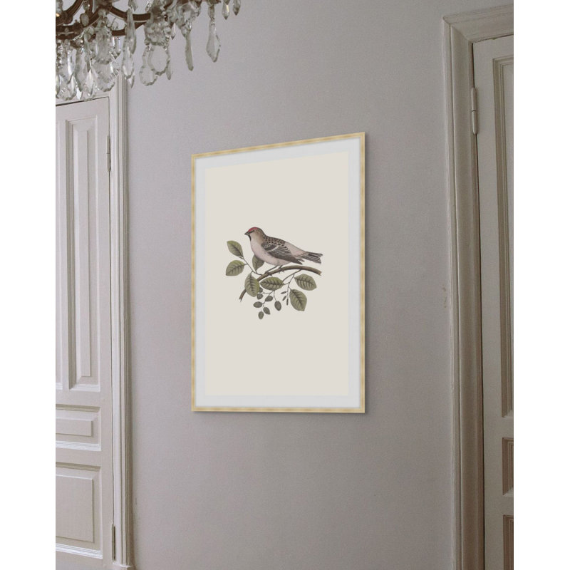 Nesting Navigators Ivory 1 Print, 26.75" H x 19.75" W