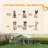 Dog Pen-99929286