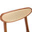 Terrence Rubberwood Dining Chairs with Faux Rattan Backrest-1649000452-1649000455