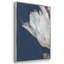 Pivoine blanche 3 pièces-1555560245-1555560252
