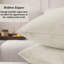 Square Scatter Velvet Cushion Cover ( Set of 4 )-124304444