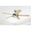 132 Cm Ceiling Fan-5546063