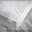 Luxurious Hotel Snuggledown Side Sleeper Firm Support Cotton Cover 2 Pillow