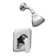 Rizon Chrome Shower Head with Handle and Posi-Temp