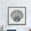 «Pretty Grey Shell», reproduction encadrée-1203747088